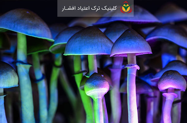 All-kinds-of-hallucinogenic-substances