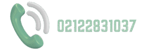 02122831037