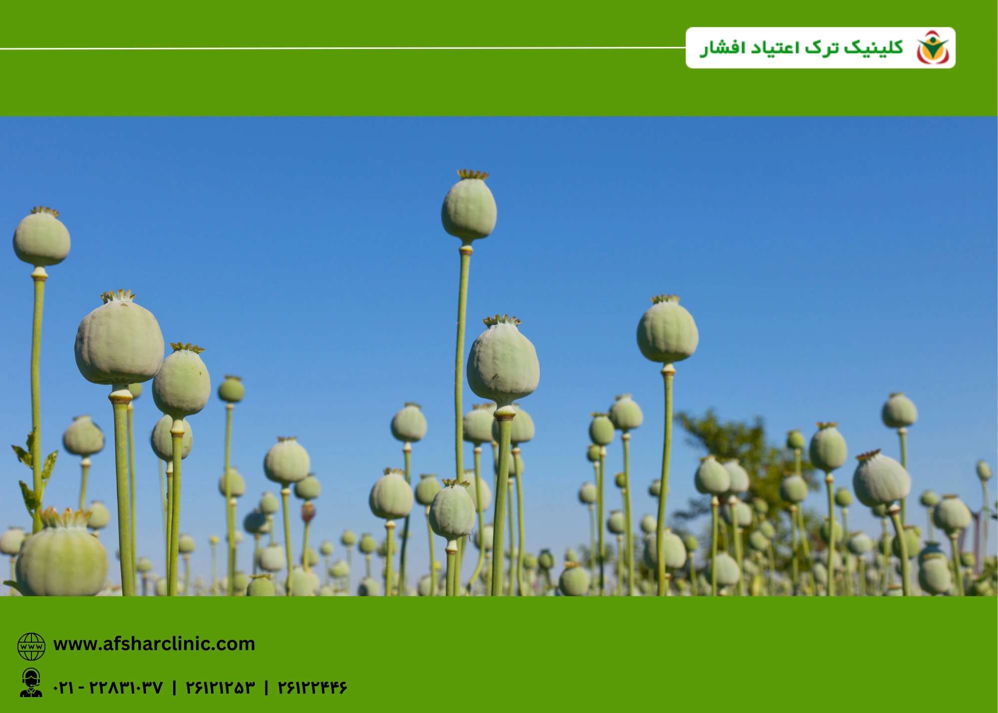 علائم ترک تریاک و شیره
