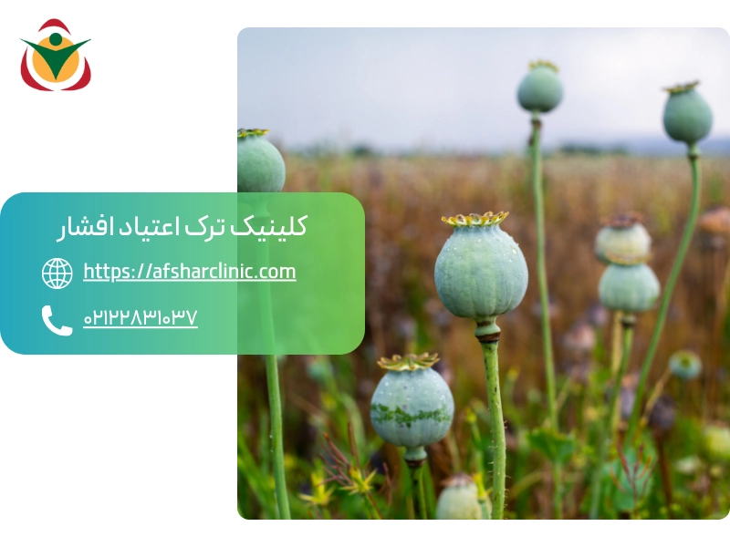 روش های ترک شیره تریاک