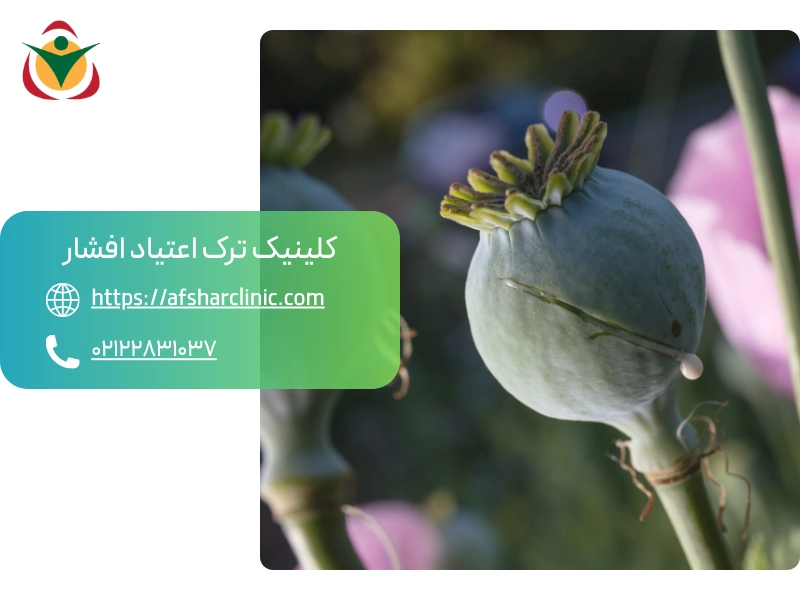 مصرف تریاک و شیره