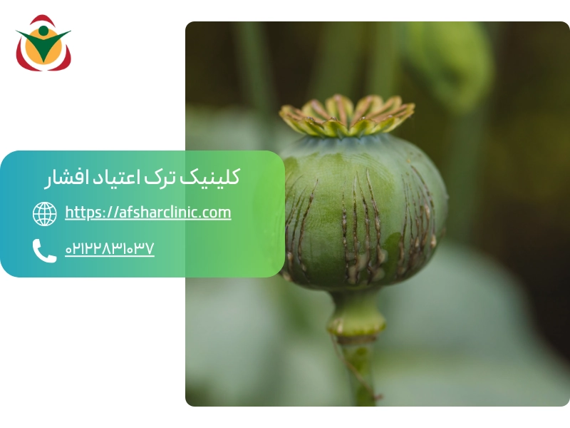 علائم ترک تریاک
