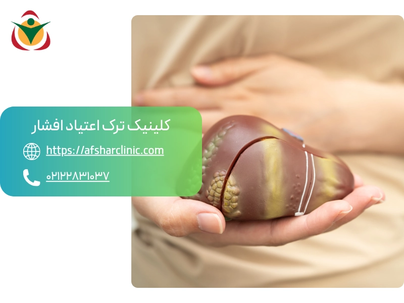 اهمیت حیاتی پاکسازی کبد پس از ترک الکل