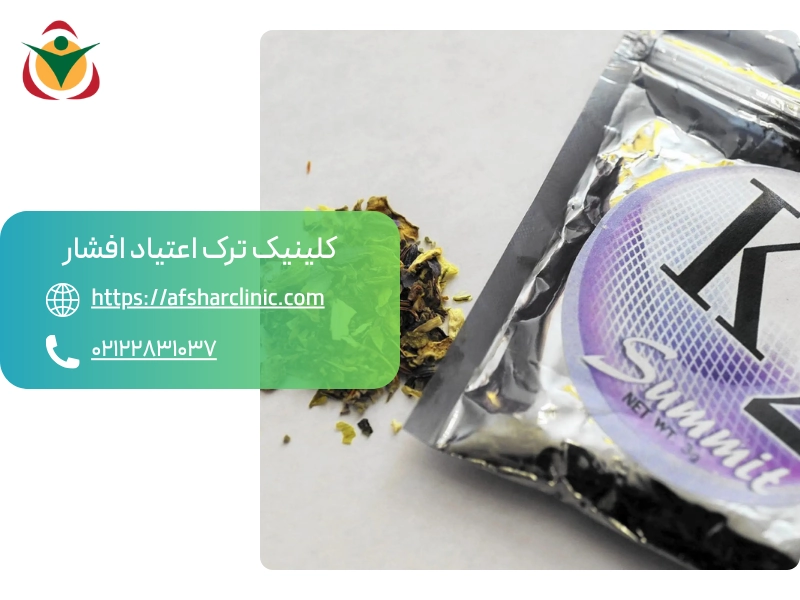 اسپایس چیست