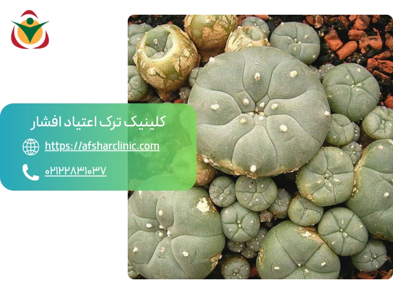 عوارض کوتاه مدت و بلند مدت مصرف مسکالین