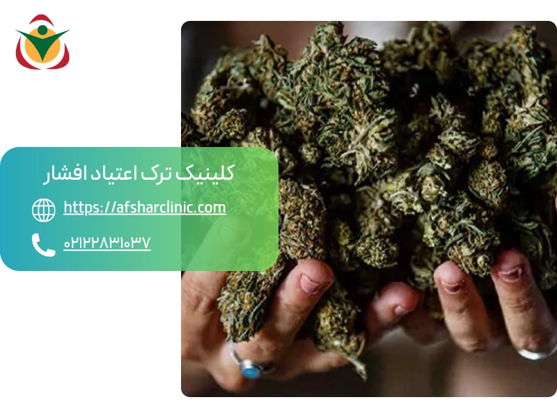 ماده مخدر پیکو